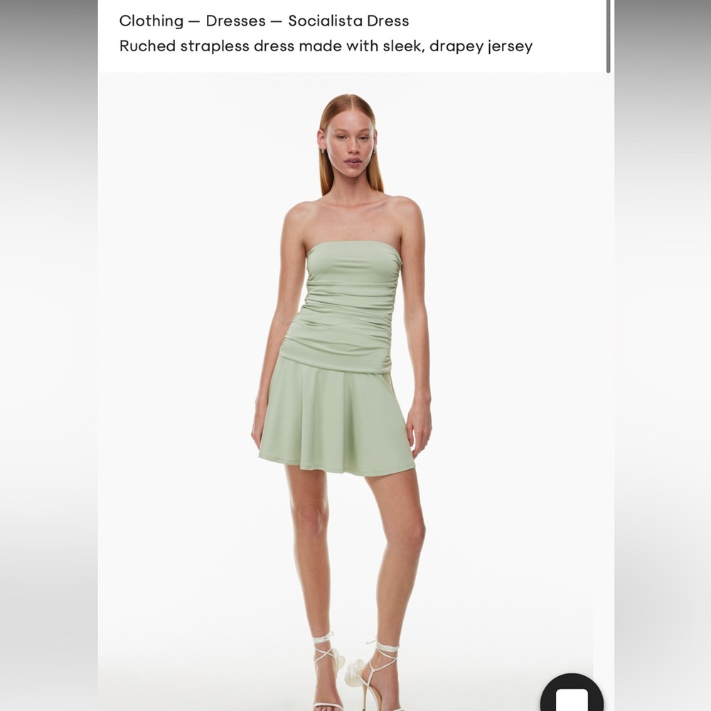 Aritzia Socialista Dress